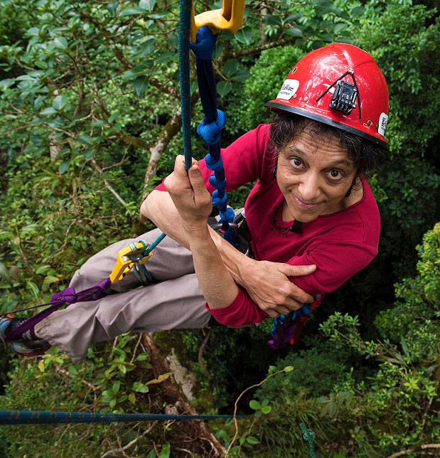 Prof. Nalini Nadkarni in the canopy of a rainforest